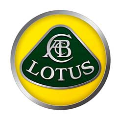 Lotus