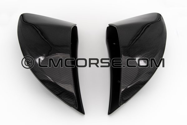 Carbon Side Pods and Intake